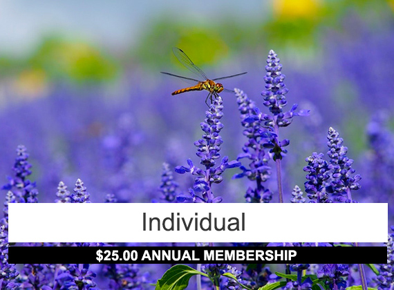 Individual membership: 25 annual